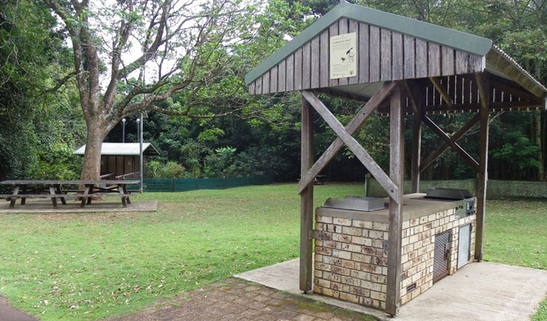 Victoria Park picnic area, Victoria Park Nature Reserve. Artist: NSW Government