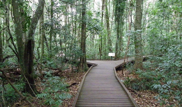 Victoria Park boardwalk, Victoria Park Nature Reserve. Artist: NSW Government