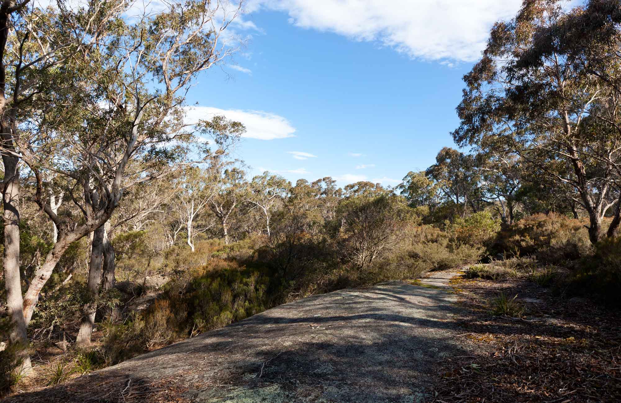 Tuross Falls Walking Track, Wadbilliga National Park. Photo: Lucas Boyd Photography/NSW Government