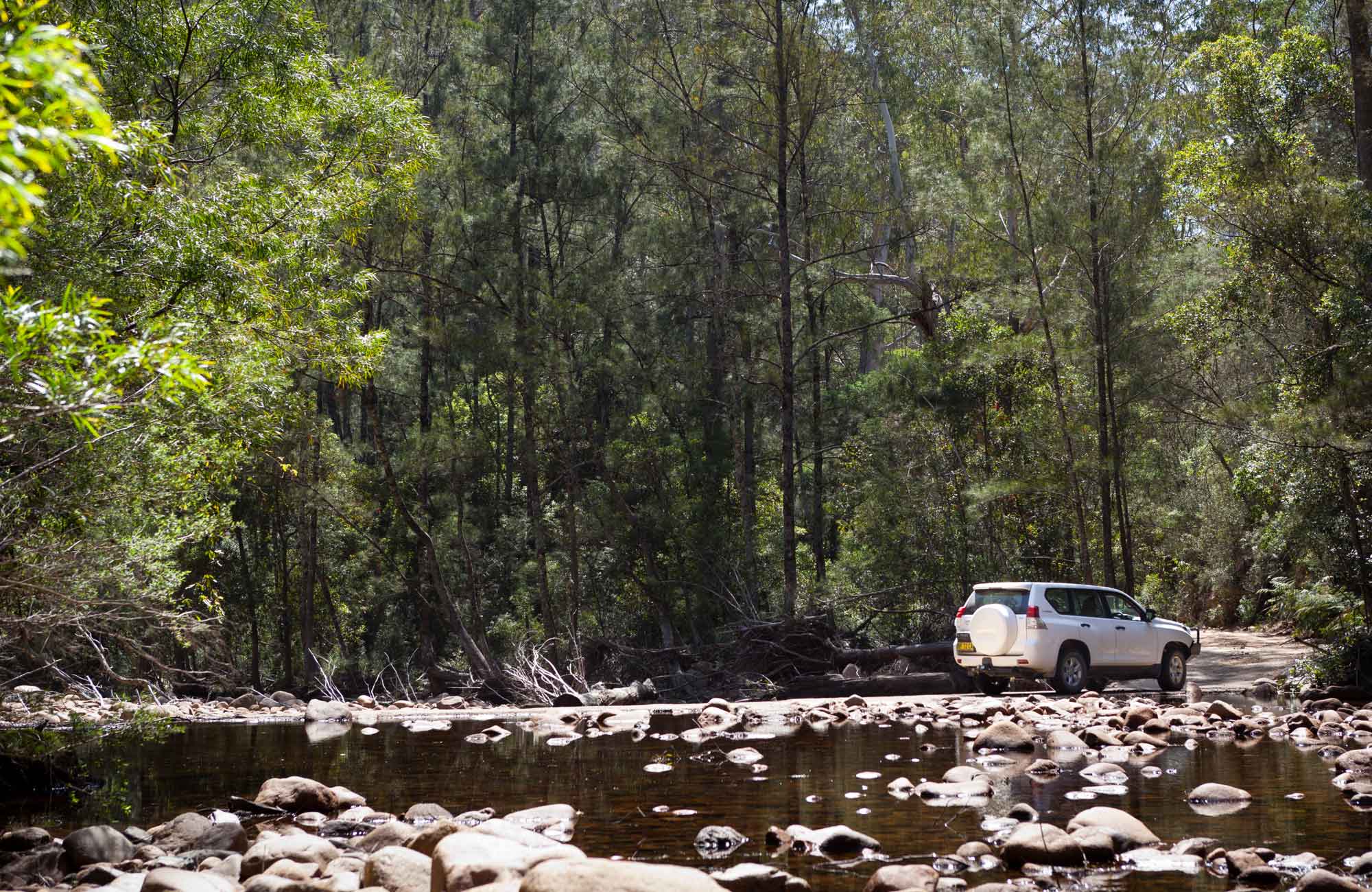 Wadbilliga Crossing, Wadbilliga National Park. Photo: Lucas Boyd Photography/NSW Government