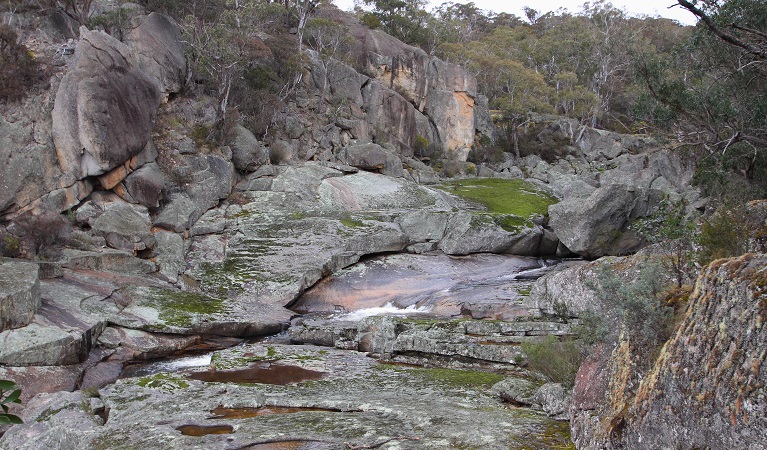 Wadbilliga National Park. Photo: L Morrell/OEH 