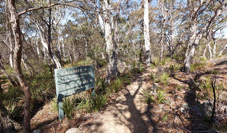 A sign at the start of Cascades walking track, Wadbilliga National Park. Photo: Lucas Boyd &copy; OEH