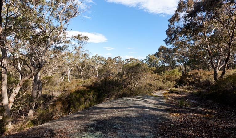 Tuross Falls Walking Track, Wadbilliga National Park. Photo: Lucas Boyd &copy; OEH