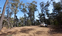 Wadbilliga Road Drive, Wadbilliga National Park. Photo: Lucas Boyd/DPIE