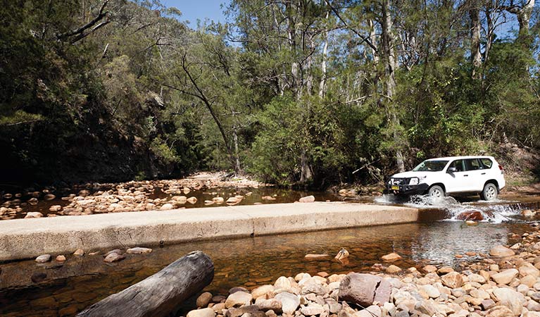 Wadbilliga Crossing, Wadbilliga National Park. Photo: Lucas Boyd/DPIE