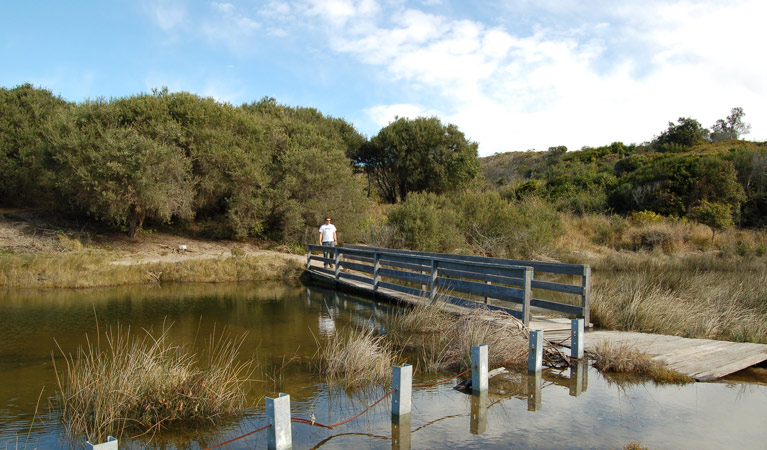 Coastal walk. Photo: Susan Davis/OEH