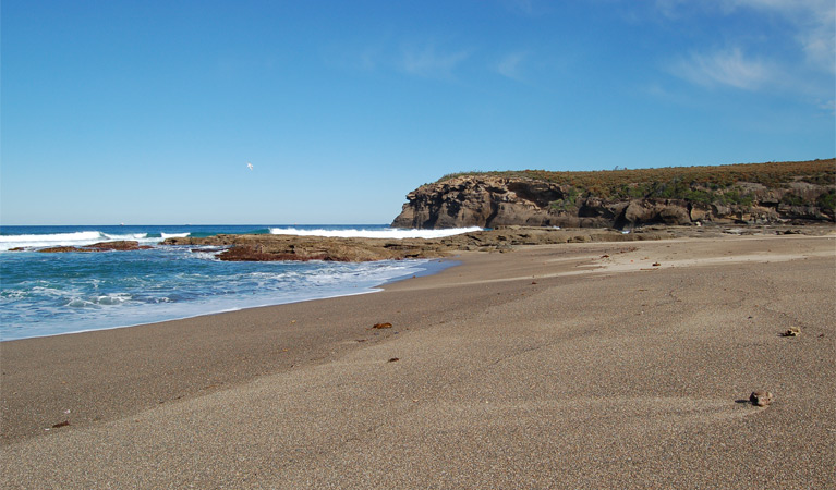 Pinney Beach, Wallarah National Park. Photo: Susan Davis &copy; OEH