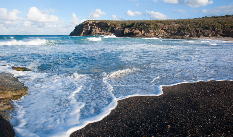 Pinney Beach, Wallarah National Park. Photo: Susan Davis &copy; OEH