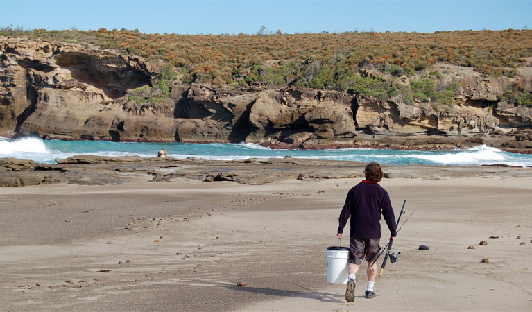 Coastal walking track, Wallarah National Park. Photo: Susan Davis &copy; OEH