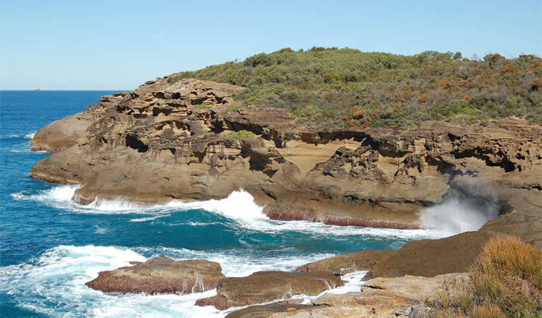 Coastal walking track, Wallarah National Park. Photo: Susan Davis &copy; OEH