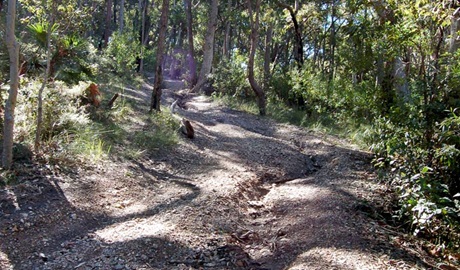 Scenic trail. Photo: Susan Davies