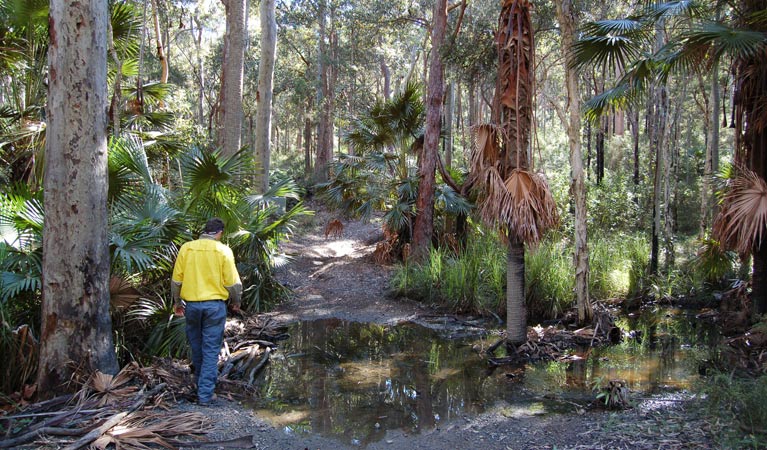 Scenic trail. Photo: Susan Davies