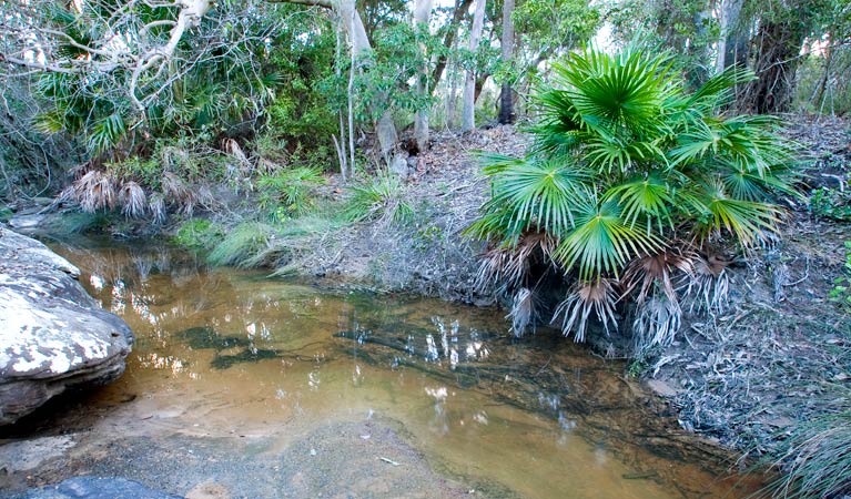 Yondeo trail. Photo: Susan Davis/OEH