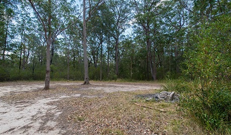 Cockatoo picnic area, Wallingat National Park. Photo: John Spencer