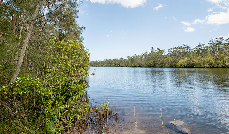 Cockatoo picnic area, Wallingat National Park. Photo: John Spencer