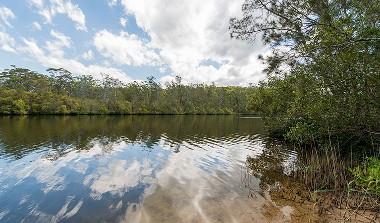 Cockatoo picnic area, Wallingat National Park. Photo: John Spencer