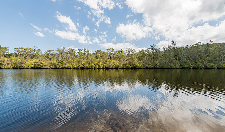 Cockatoo picnic area, Wallingat National Park. Photo: John Spencer