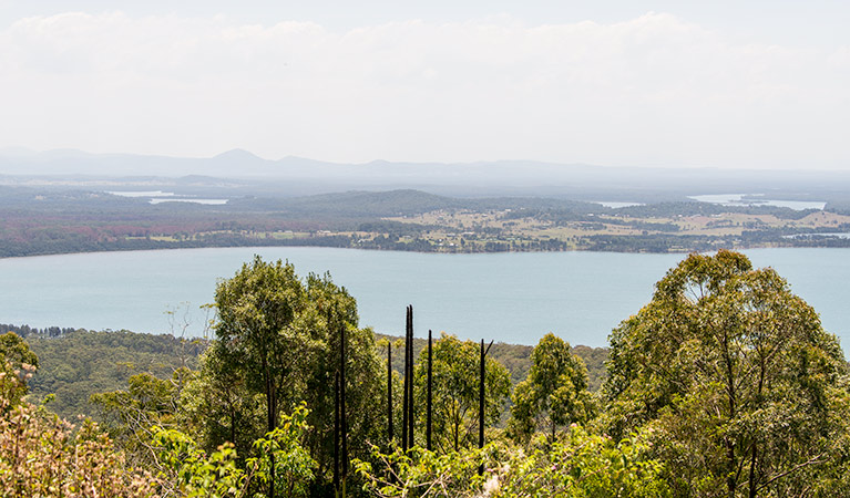 Double Wharf to Whoota Whoota cycle loop, Wallingat National Park. Photo: John Spencer