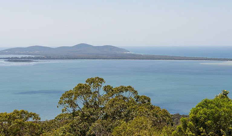 Double Wharf to Whoota Whoota cycle loop, Wallingat National Park. Photo: John Spencer