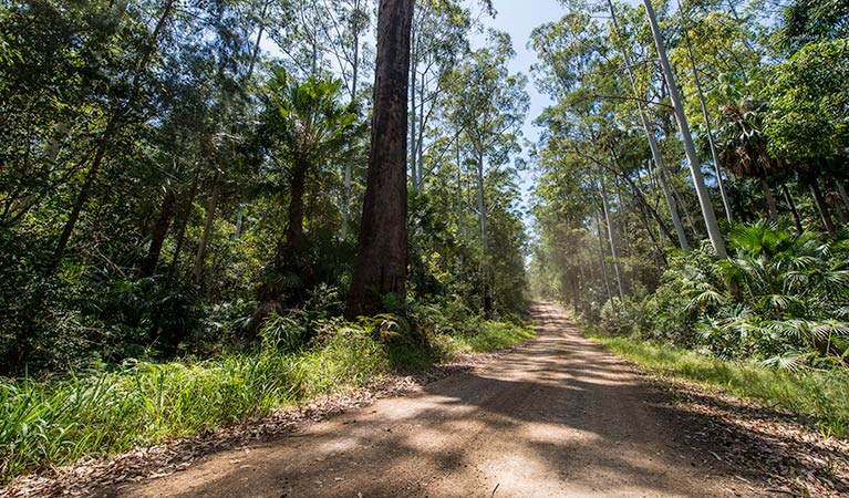 Double Wharf to Whoota Whoota cycle loop, Wallingat National Park. Photo: John Spencer