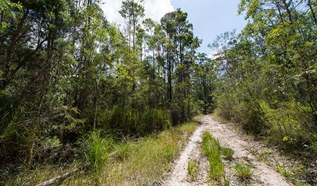 Double Wharf trail, Wallingat National Park. Photo: John Spencer