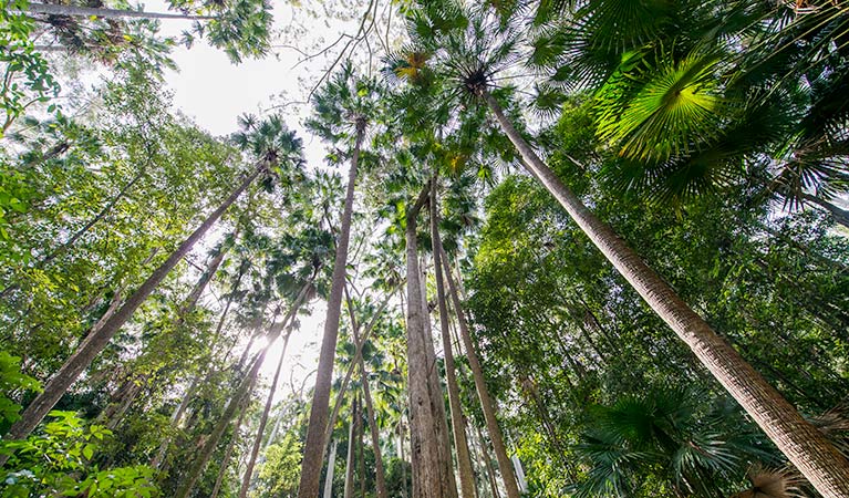 Double Wharf trail, Wallingat National Park. Photo: John Spencer