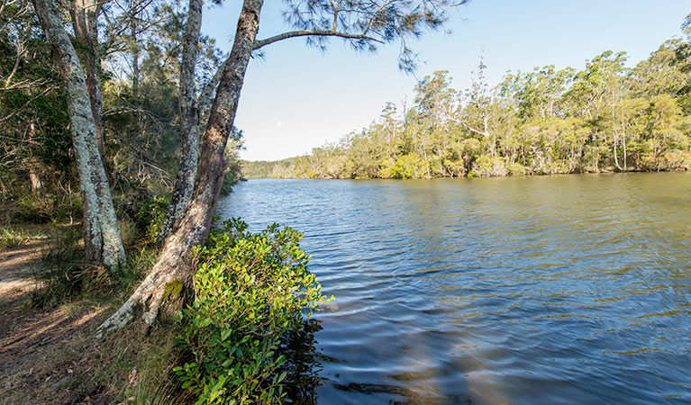 Ferny Creek campground, Wallingat National Park. Photo: John Spencer/NSW Government