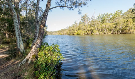 Ferny Creek campground, Wallingat National Park. Photo: John Spencer/NSW Government