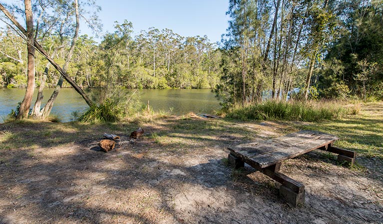 Ferny Creek campground, Wallingat National Park. Photo: John Spencer/NSW Government