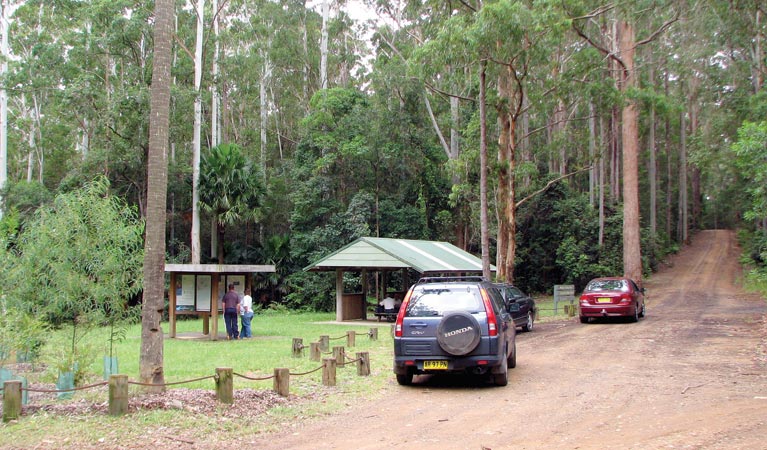 Wallingat Forest drive, Wallingat National Park. Photo: Ian Charles/NSW Government