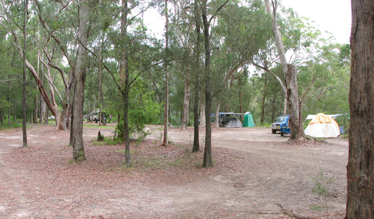 Wallingat campground, Wallingat National Park. Photo: Ian Charles/NSW Government