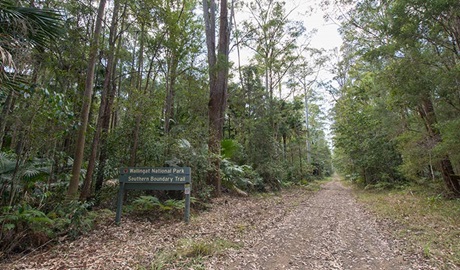 Southern Boundary trail, Wallingat National Park. Photo: John Spencer