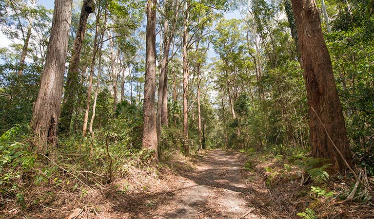 Southern Boundary trail, Wallingat National Park. Photo: John Spencer