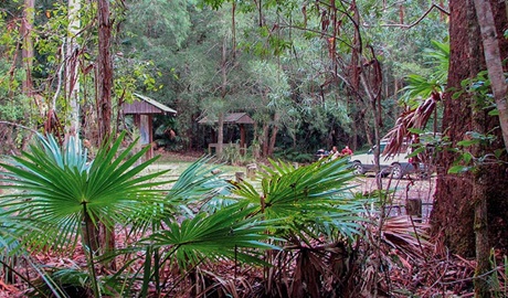 Sugar Creek picnic area, Wallingat National Park. Photo: Ian Charles