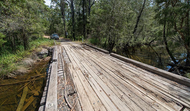 Tip to Tail trail, Wallingat National Park. Photo: John Spencer