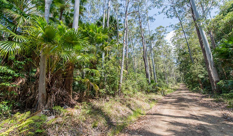 Tip to Tail trail, Wallingat National Park. Photo: John Spencer