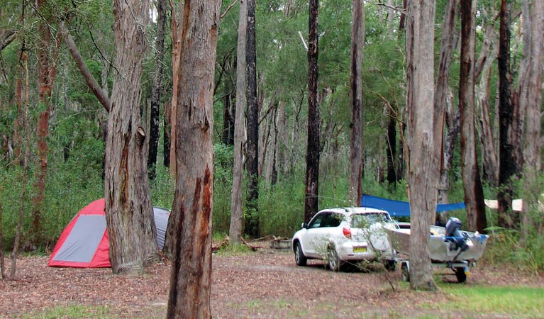 Wallingat campground, Wallingat National Park. Photo: Ian Charles/NSW Government