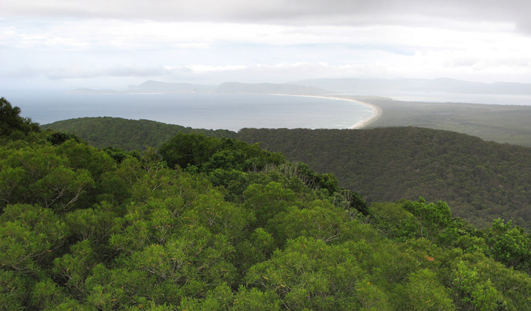 Whoota Whoota lookout, Wallingat National Park. Photo: Ian Charles/NSW Government