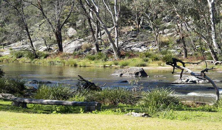 View of Namoi River and surrounding bushland at Billys Hole picnic area, Warrabah National Park. Photo: Leah Pippos &copy; DPE