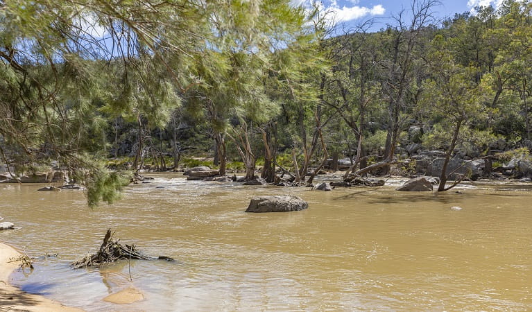 Namoi River and surrounding bushland in Warrabah National Park. Photo: Joshua J Smith &copy; DPE