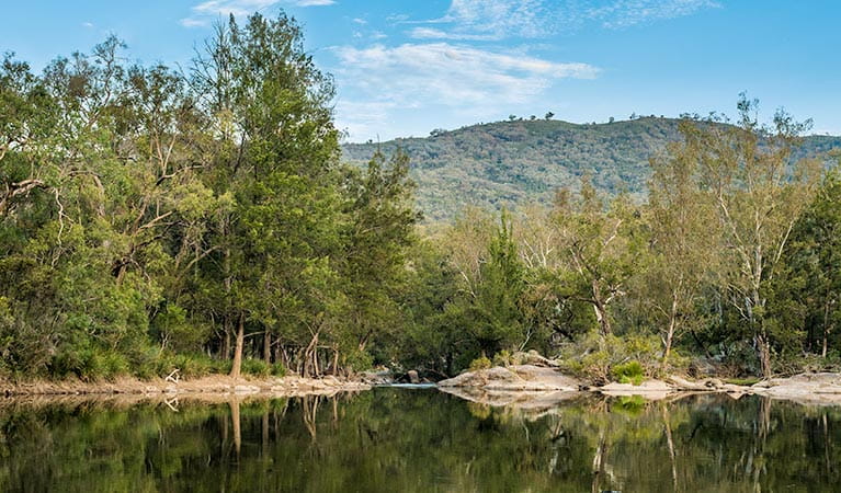 View of water hole surrounded by bushland with a hill in the background at Billys Hole picnic area in Warrabah National Park. Photo: David Young