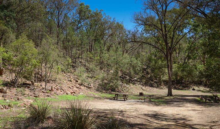 Grassy clearing surrounded by trees with a picnic table and wood barbecue at Gum Hole campground and picnic area in Warrabah National Park. Photo: Peter Berney &copy; DPIE