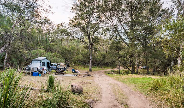 Gum Hole campground and picnic area, Warrabah National Park. Photo: David Young