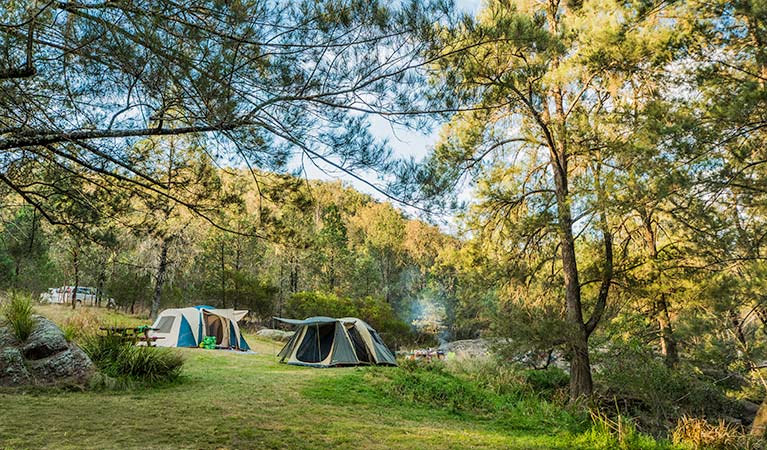 Campgrounds, Warrabah National Park. Photo &copy; David Young