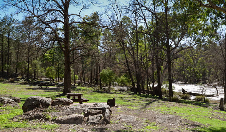 A picnic table and wood barbecue by the river at Warrabah campground and picnic area in Warrabah National Park. Photo: Peter Berney &copy; DPIE