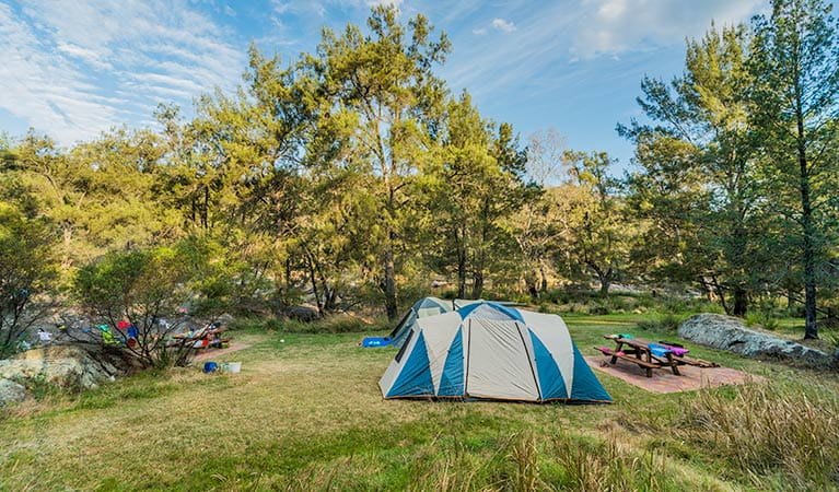 Warrabah campground and picnic area tents, Warrabah National Park. Photo: David Young