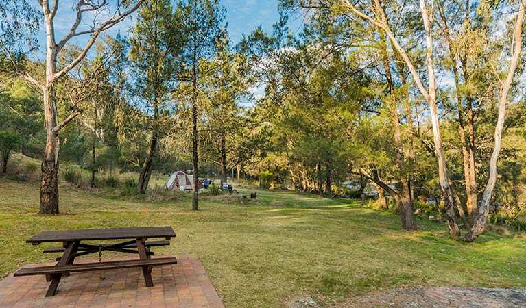 Warrabah campground and picnic area, Warrabah National Park. Photo: David Young