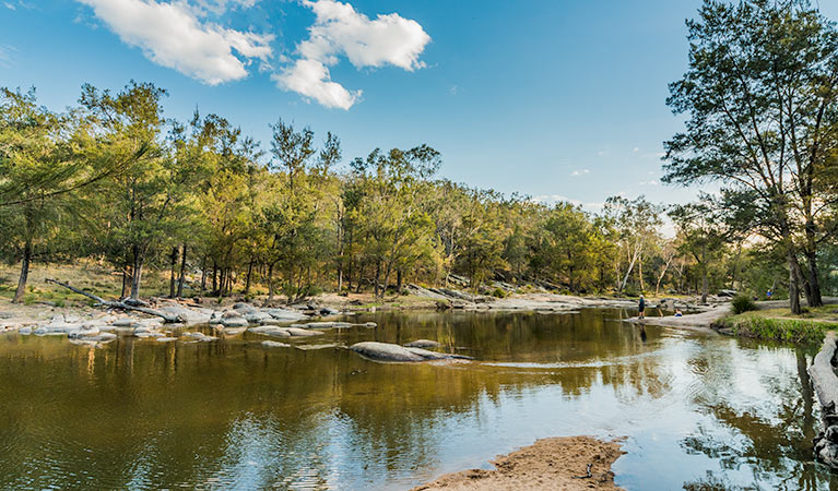 Warrabah campground and picnic area, Warrabah National Park. Photo: David Young