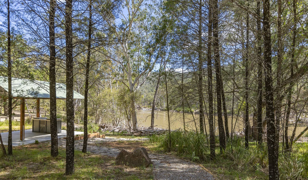 Covered barbecue area amongst the trees, overlooking the river, Warrabah National Park. Photo: Joshua Smith &copy; DPE