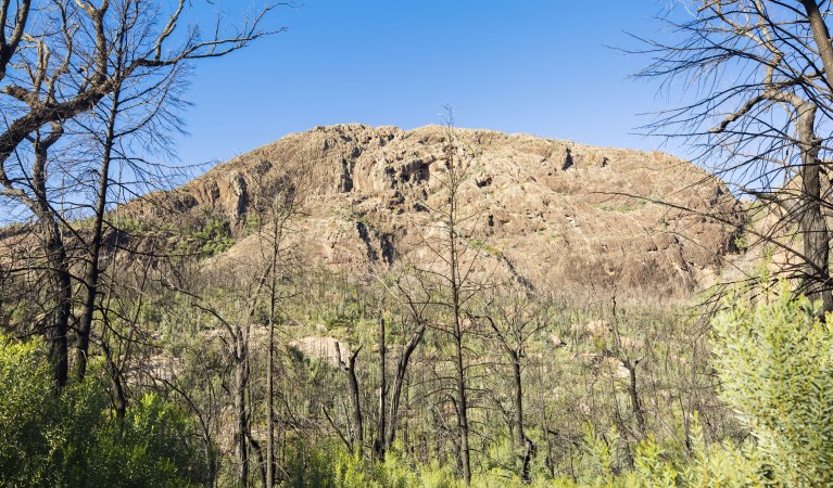 View through trees of rock formations along Belougery Split Rock walking track in Warrumbungle National Park. Photo; Simone Cottrell &copy; OEH and RGB